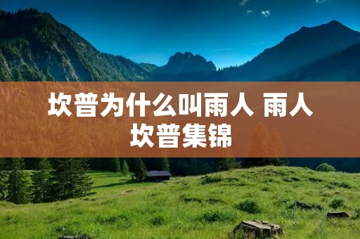 坎普为什么叫雨人 雨人坎普集锦 坎普为什么叫雨人 雨人坎普集锦