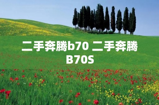 二手奔腾b70 二手奔腾B70S 二手奔腾b70 二手奔腾B70S