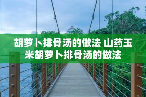 胡萝卜排骨汤的做法 山药玉米胡萝卜排骨汤的做法