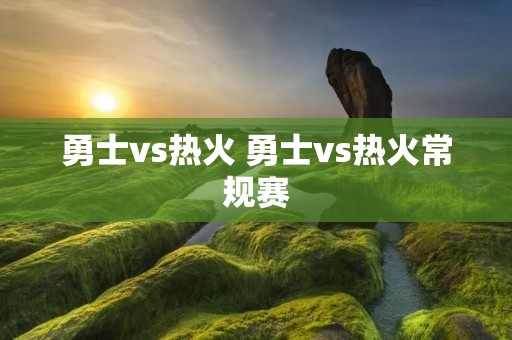 勇士vs热火 勇士vs热火常规赛