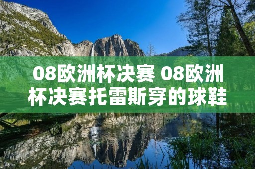 08欧洲杯决赛 08欧洲杯决赛托雷斯穿的球鞋 08欧洲杯决赛 08欧洲杯决赛托雷斯穿的球鞋