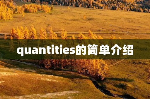 quantities的简单介绍