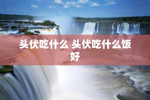头伏吃什么 头伏吃什么饭好 头伏吃什么 头伏吃什么饭好