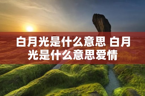 白月光是什么意思 白月光是什么意思爱情