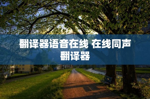翻译器语音在线 在线同声翻译器