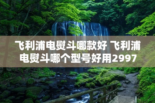 飞利浦电熨斗哪款好 飞利浦电熨斗哪个型号好用2997