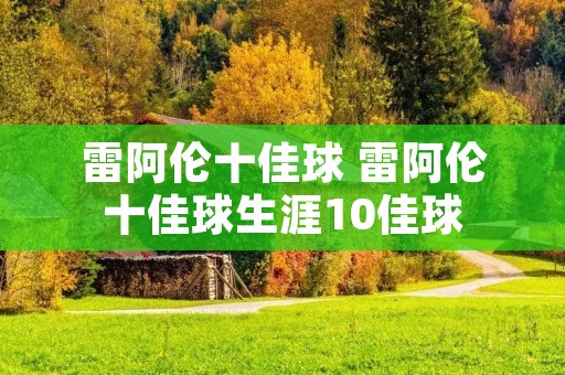 雷阿伦十佳球 雷阿伦十佳球生涯10佳球