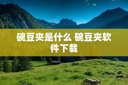 碗豆夹是什么 碗豆夹软件下载