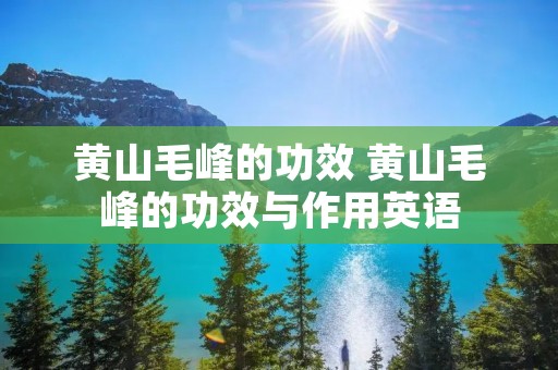 黄山毛峰的功效 黄山毛峰的功效与作用英语 黄山毛峰的功效 黄山毛峰的功效与作用英语