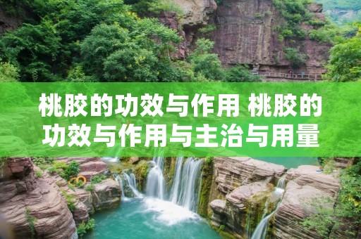 桃胶的功效与作用 桃胶的功效与作用与主治与用量