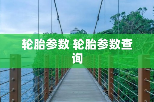 轮胎参数 轮胎参数查询