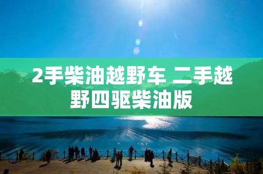 2手柴油越野车 二手越野四驱柴油版