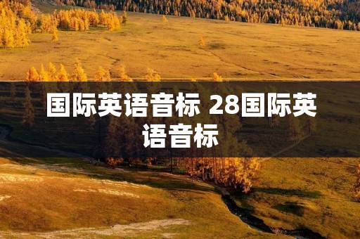 国际英语音标 28国际英语音标