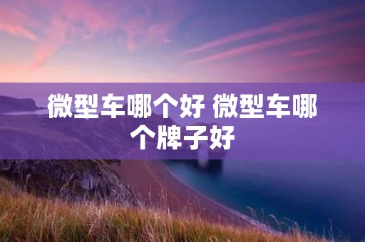 微型车哪个好 微型车哪个牌子好 微型车哪个好 微型车哪个牌子好