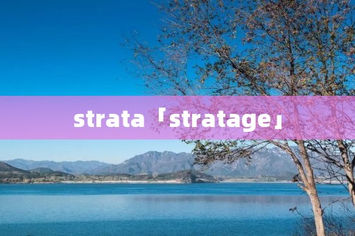 strata「stratage」