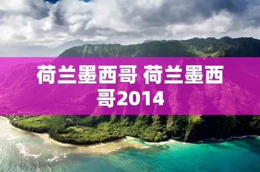 荷兰墨西哥 荷兰墨西哥2014