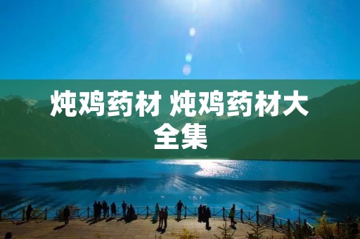 炖鸡药材 炖鸡药材大全集