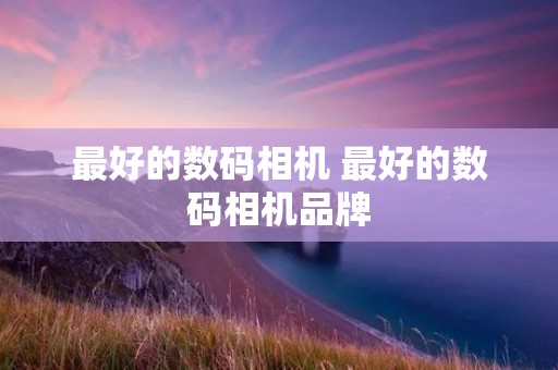 最好的数码相机 最好的数码相机品牌