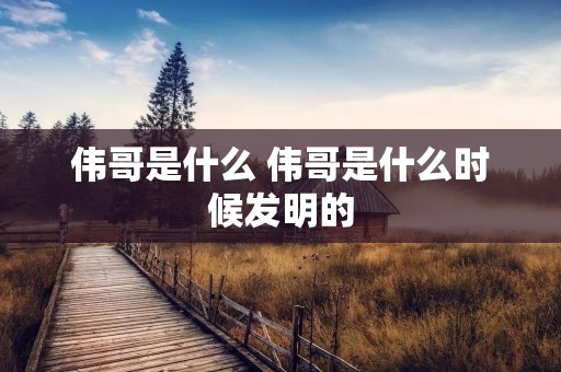 伟哥是什么 伟哥是什么时候发明的 伟哥是什么 伟哥是什么时候发明的