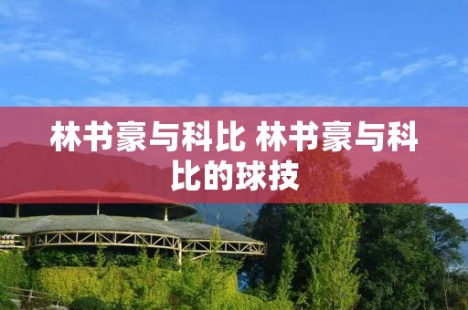 林书豪与科比 林书豪与科比的球技