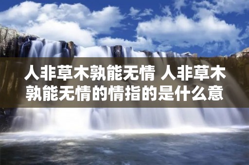 人非草木孰能无情 人非草木孰能无情的情指的是什么意思
