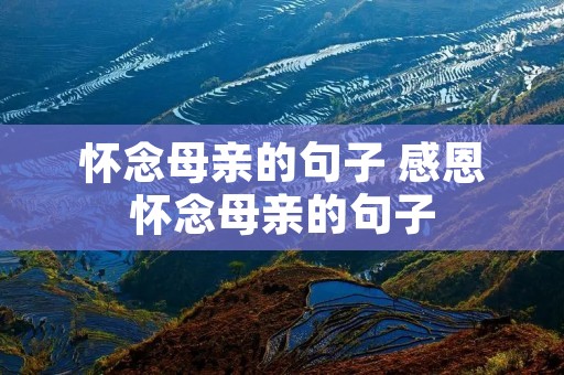 怀念母亲的句子 感恩怀念母亲的句子