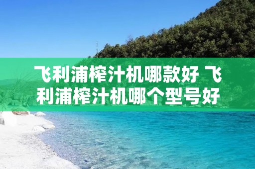 飞利浦榨汁机哪款好 飞利浦榨汁机哪个型号好