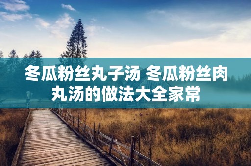 冬瓜粉丝丸子汤 冬瓜粉丝肉丸汤的做法大全家常