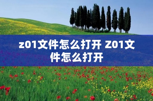 z01文件怎么打开 Z01文件怎么打开 z01文件怎么打开 Z01文件怎么打开