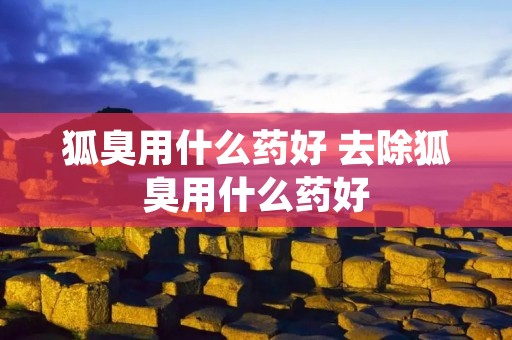 狐臭用什么药好 去除狐臭用什么药好