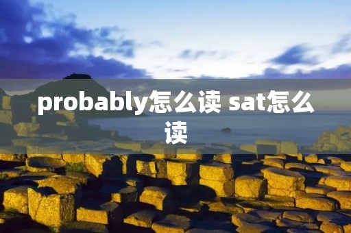 probably怎么读 sat怎么读
