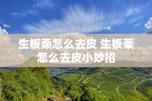 生板栗怎么去皮 生板栗怎么去皮小妙招