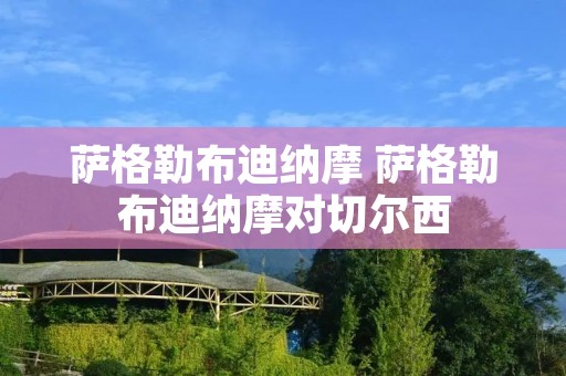 萨格勒布迪纳摩 萨格勒布迪纳摩对切尔西 萨格勒布迪纳摩 萨格勒布迪纳摩对切尔西