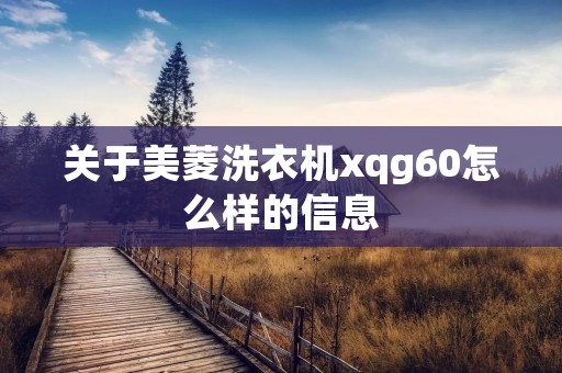关于美菱洗衣机xqg60怎么样的信息