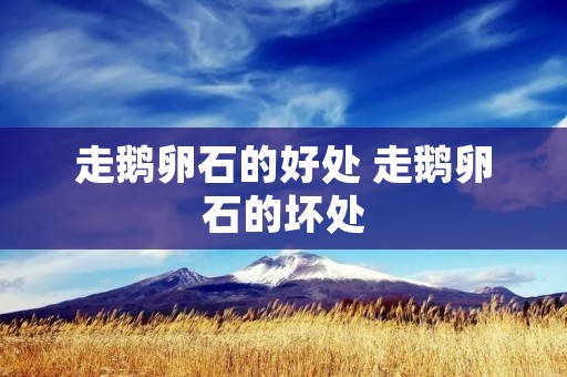 走鹅卵石的好处 走鹅卵石的坏处 走鹅卵石的好处 走鹅卵石的坏处