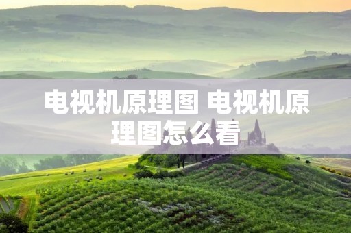 电视机原理图 电视机原理图怎么看