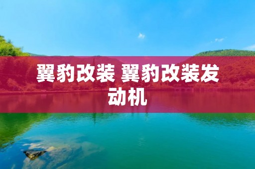 翼豹改装 翼豹改装发动机