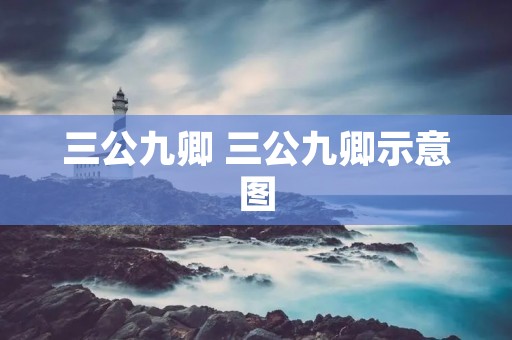 三公九卿 三公九卿示意图