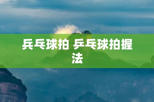 兵乓球拍 乒乓球拍握法
