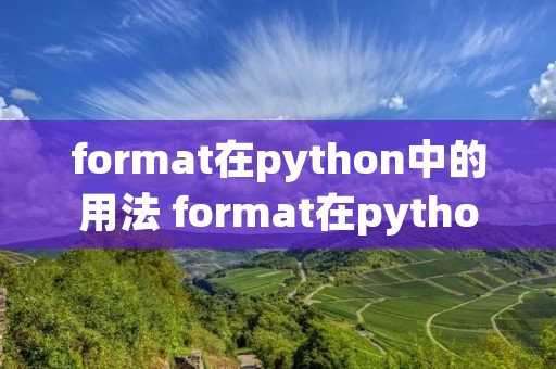 format在python中的用法 format在python中的用法保留小数 format在python中的用法 format在python中的用法保留小数