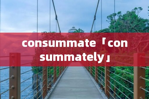 consummate「consummately」