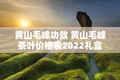 黄山毛峰功效 黄山毛峰茶叶价格表2022礼盒