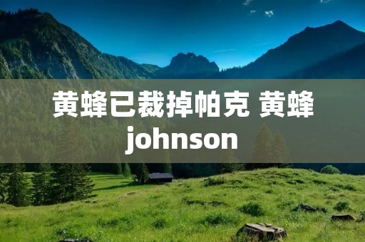黄蜂已裁掉帕克 黄蜂johnson