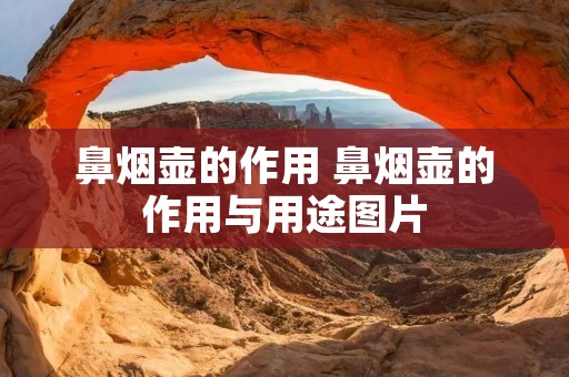 鼻烟壶的作用 鼻烟壶的作用与用途图片