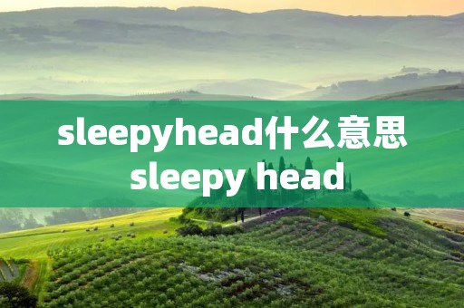sleepyhead什么意思 sleepy head sleepyhead什么意思 sleepy head