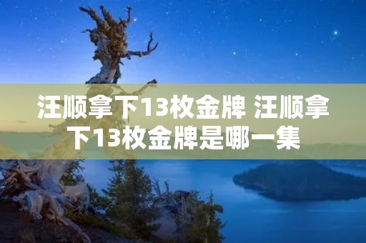 汪顺拿下13枚金牌 汪顺拿下13枚金牌是哪一集 汪顺拿下13枚金牌 汪顺拿下13枚金牌是哪一集