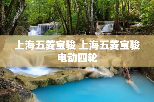 上海五菱宝骏 上海五菱宝骏电动四轮