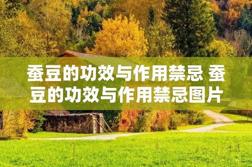 蚕豆的功效与作用禁忌 蚕豆的功效与作用禁忌图片 蚕豆的功效与作用禁忌 蚕豆的功效与作用禁忌图片