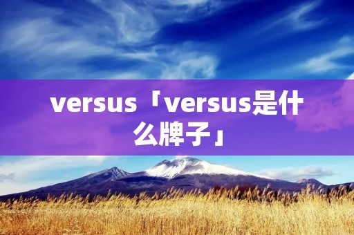 versus「versus是什么牌子」