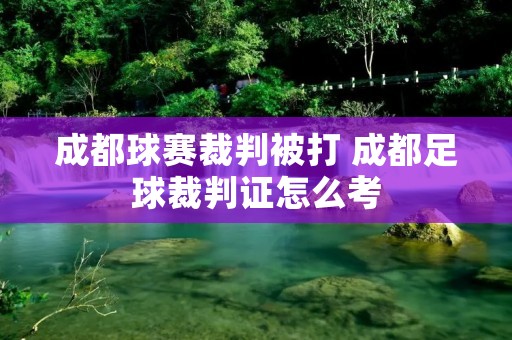 成都球赛裁判被打 成都足球裁判证怎么考